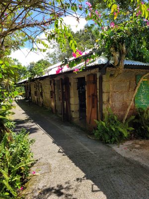 The Habitat Penang Hill by null