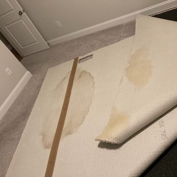 Five County Specialists - Backing of carpet with urine stains - Real Estate Services Near Me - Zebulon, North Carolina
