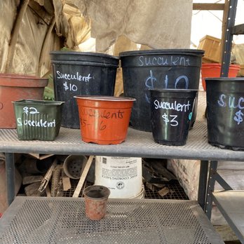 Ortega Nursery - Prices - Nurseries & Gardening Near Me - Watsonville, California Ortega Nursery - Prices - Nurseries & Gardening Near Me - Watsonville, California