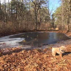 Bunker Hill Bogs Recreation Area