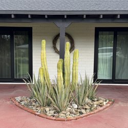 Vision Windows & Doors