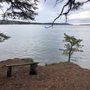 Photo of Green Point Preserve
