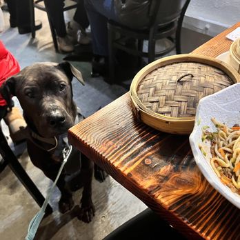 Dumpling Story - Dog friendly - Asian Fusion Near Me - San Francisco, California Dumpling Story - Dog friendly - Asian Fusion Near Me - San Francisco, California