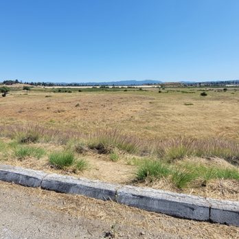 Chatsworth Nature Preserve - Tons of invasive fountain grass - Community Service/Non-Profit Near Me - Chatsworth, California Chatsworth Nature Preserve - Tons of invasive fountain grass - Community Service/Non-Profit Near Me - Chatsworth, California
