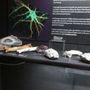 Photo of Museum of Geology