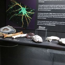 Museum of Geology