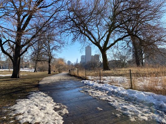 Lincoln Park by null