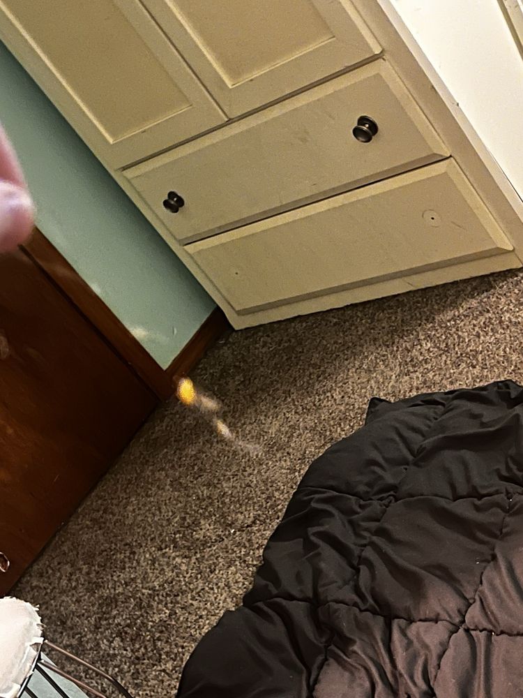 Social spots from McDonald's