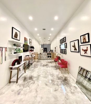 Dogue Spa - The Coolest Dog Grooming Salon by null