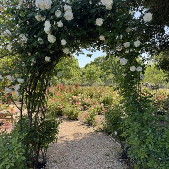 Blue Farm - Rose Garden - Wine Tours Near Me