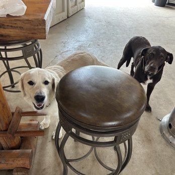 Pine-O-Mine Ranch - Bodie and Buck - Fruits & Veggies Near Me - Placerville, California