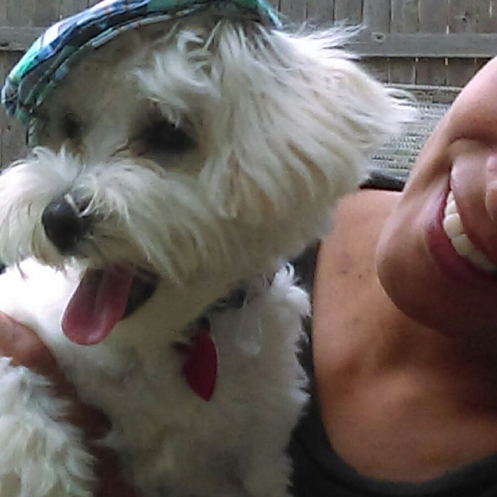 Texas Designer Puppies - Pet Adoption Near Me Texas Designer Puppies - Pet Adoption Near Me