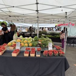 Orange Home Grown Farmers & Artisans Market