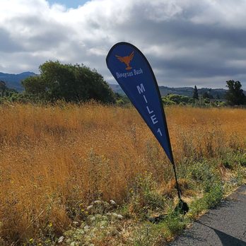 Dionysus Dash - Napa - 1st mile mark done - Races & Competitions Near Me - Napa, California