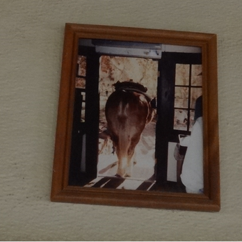 Phantom Ranch - It's 6:30 AM, time to saddle up. - Hotels Near Me