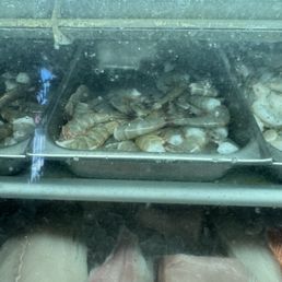 Large Shrimp Large Shrimp
