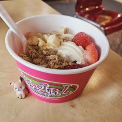 Swirl Frozen Yogurt