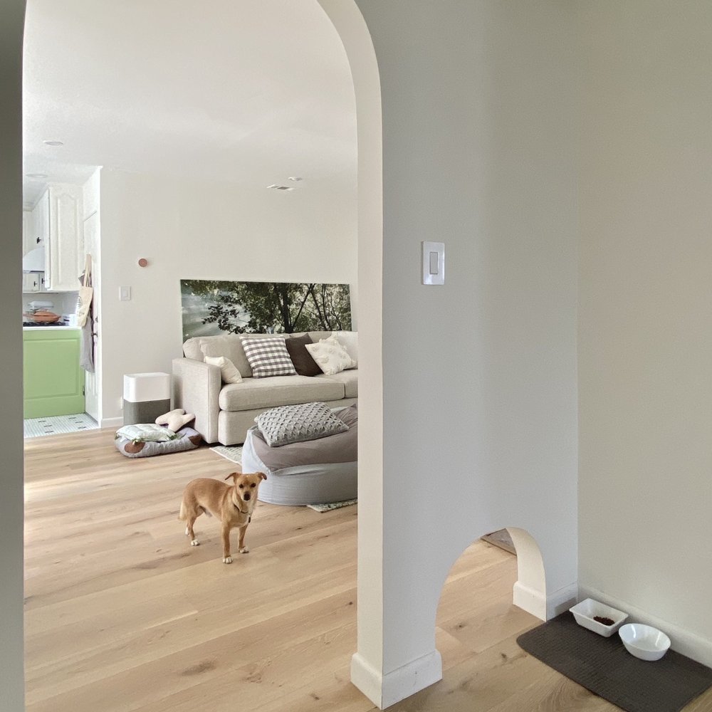 Urban Flooring - a dog in a living room - Flooring Near Me - Hayward, California Urban Flooring - a dog in a living room - Flooring Near Me - Hayward, California
