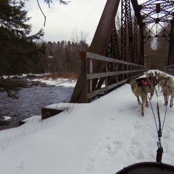 Braeburn Siberians - Dog-sledding excursion - Sledding Near Me Braeburn Siberians - Dog-sledding excursion - Sledding Near Me
