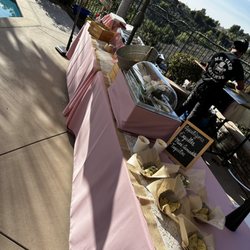 Mr Taco Catering