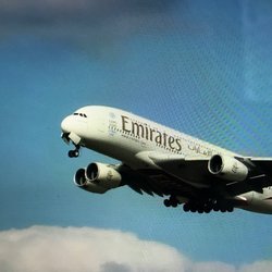 Fly Away Travel and Tours