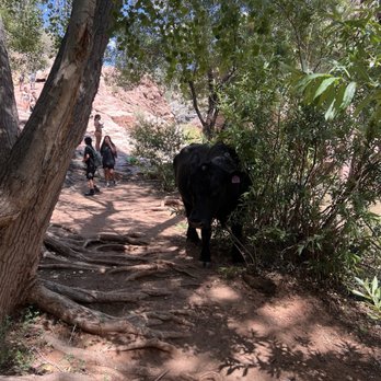 Water Wheel Campground - Hiking Near Me