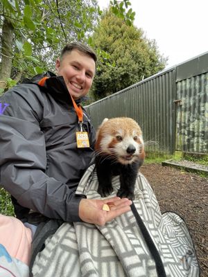 Wellington Zoo by null