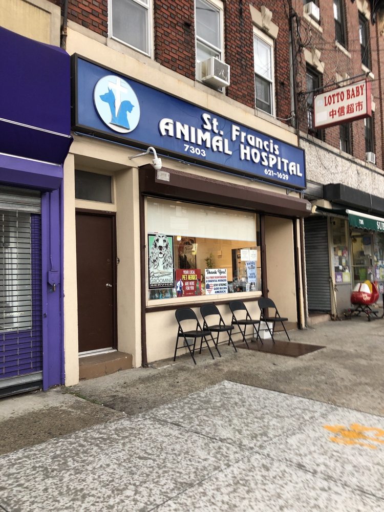 ST. FRANCIS ANIMAL HOSPITAL Updated September 2024 20 Photos & 33