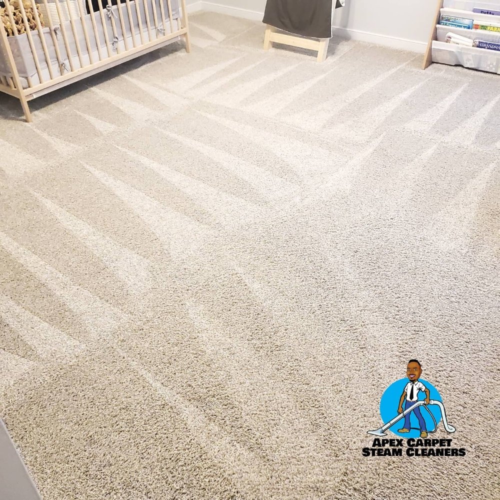 APEX CARPET STEAM CLEANERS Updated July 2024 18 Photos Richmond