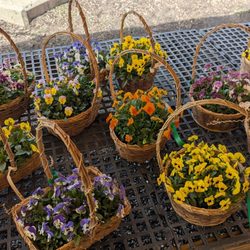 Mason's Farm Market