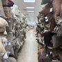 Homegoods