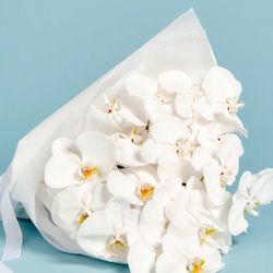 Santa Clara Fine Florals - Amazing White Orchid (Phalaenopsis) Wrap Bouquet! You choose the color...call us to place your order. Starting at $154.99 for 5 stems