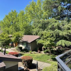 Woodcrest