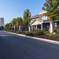 Potter's Tree Service - Tree Service