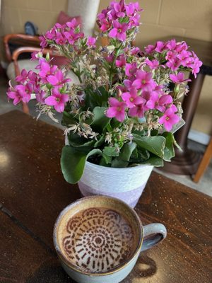 Cafe Guarani by null