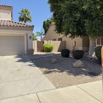 Lightning Tree Services - Storm damage tree removal after results - Tree Services Near Me - Avondale, Arizona Lightning Tree Services - Storm damage tree removal after results - Tree Services Near Me - Avondale, Arizona