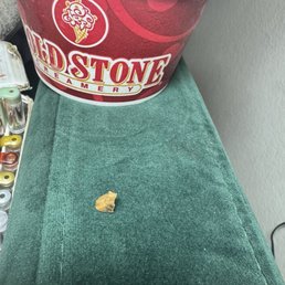 The stone that was in the ice cream The stone that was in the ice cream