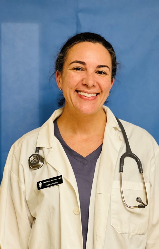 KEARNY MESA VETERINARY CENTER Updated October 2024 106 Photos & 289