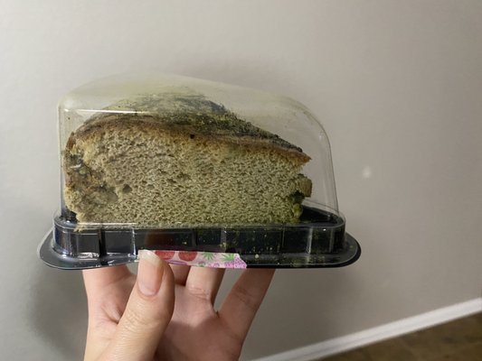 TeaLatte Bar by null