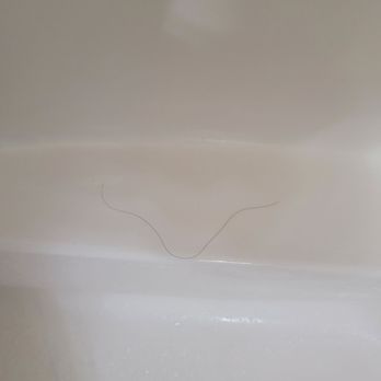 Atlantis Villas 301 - Went to take a shower and there were hairs all over the shower. Disgusting.....for the record I'm bald. - Vacation Rentals Near Me - North Myrtle Beach, South Carolina Atlantis Villas 301 - Went to take a shower and there were hairs all over the shower. Disgusting.....for the record I'm bald. - Vacation Rentals Near Me - North Myrtle Beach, South Carolina