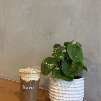 Ca Phe Haru - Coffee & Tea Near Me - Elk Grove, California
