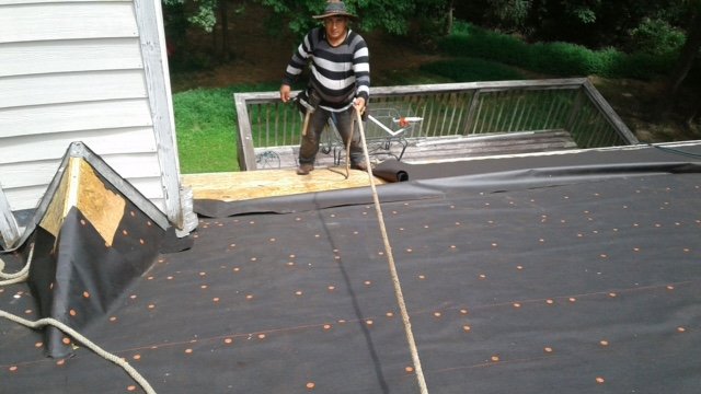 Slide of Georgia Roof