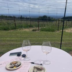 Et Fille Wines - 2021 Brut Sparkling Rose of Pinot Noir paired with some local oysters