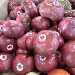 Tomatoes Tomatoes