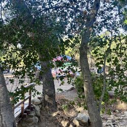 Kenney Grove Park
