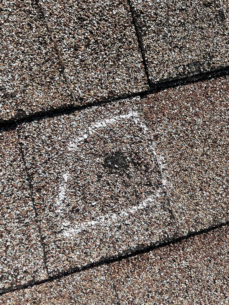 Slide of Chandler Swing