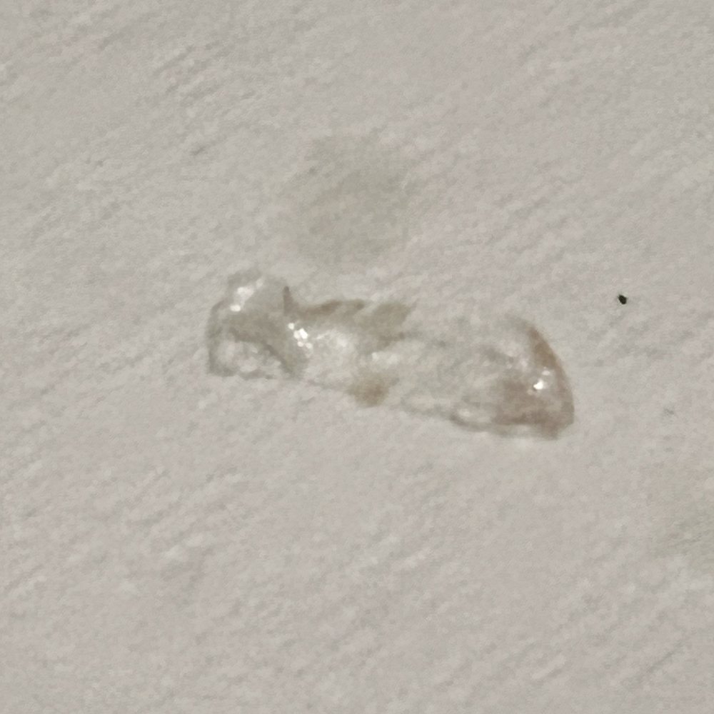 Gusto RistoBar - Plastic in the Pizza Stella - Italian Near Me - Doral, Florida Gusto RistoBar - Plastic in the Pizza Stella - Italian Near Me - Doral, Florida