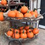 Photo of Molzon Landscape Nursery