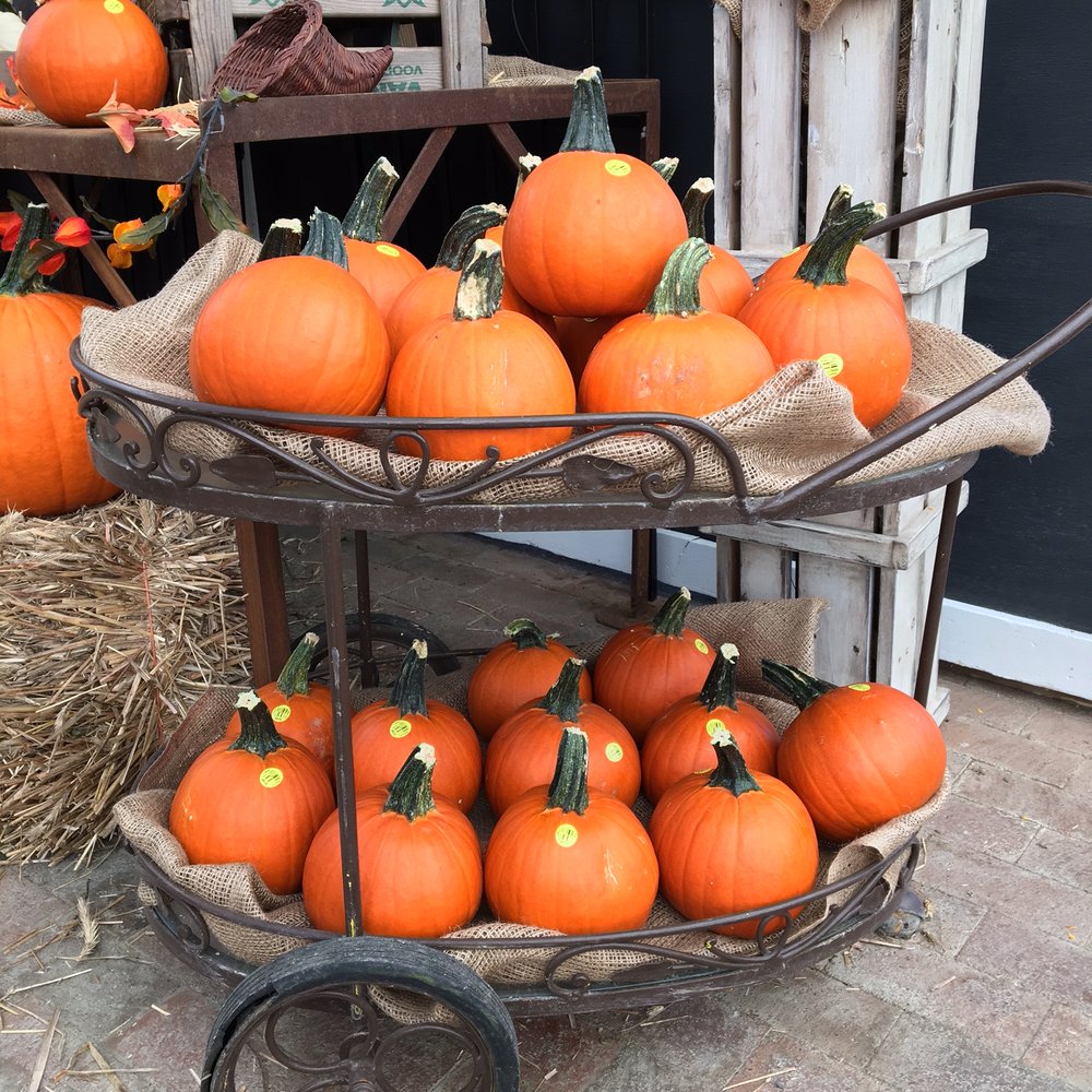 MOLZON LANDSCAPE NURSERY Updated September 2024 10 Reviews 140