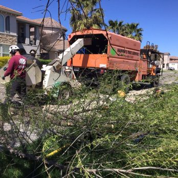 Hardin's Tree Service - Tree Services Near Me - Sacramento, California Hardin's Tree Service - Tree Services Near Me - Sacramento, California